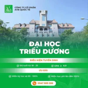 Du Học Và Xuất Khẩu Lao Động AVB – Công Ty Cổ Phần AVB Quốc Tế
