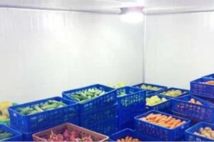 Điện Lạnh Hải Phòng – Công Ty TNHH Kỹ Thuật Điện Lạnh Hải Phòng