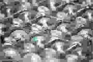 Xi Mạ Thiện Mỹ – Công Ty TNHH Công Nghiệp Thiện Mỹ