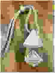 Công Ty TNHH Herbal Pharma