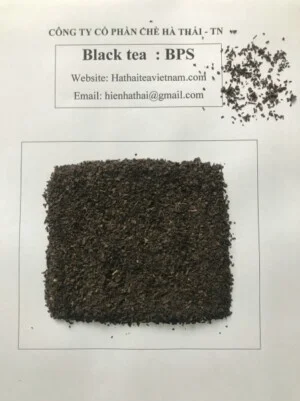 Hà Thái Tea – Công Ty CP Chè Hà Thái Thái Nguyên