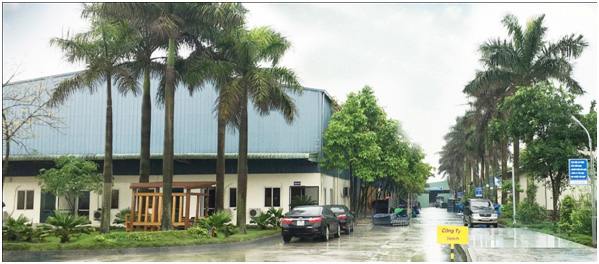 Công Ty TNHH Sắc Việt