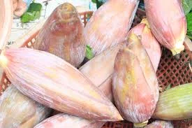 Công Ty TNHH MTV Rau Sạch Tuấn Kiệt