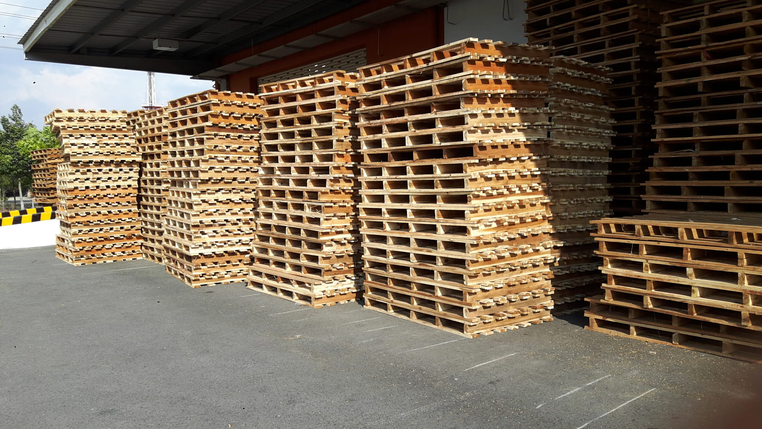 Pallet Gỗ Sao Mai Bình Dương – Công ty TNHH Pallet Sao Mai