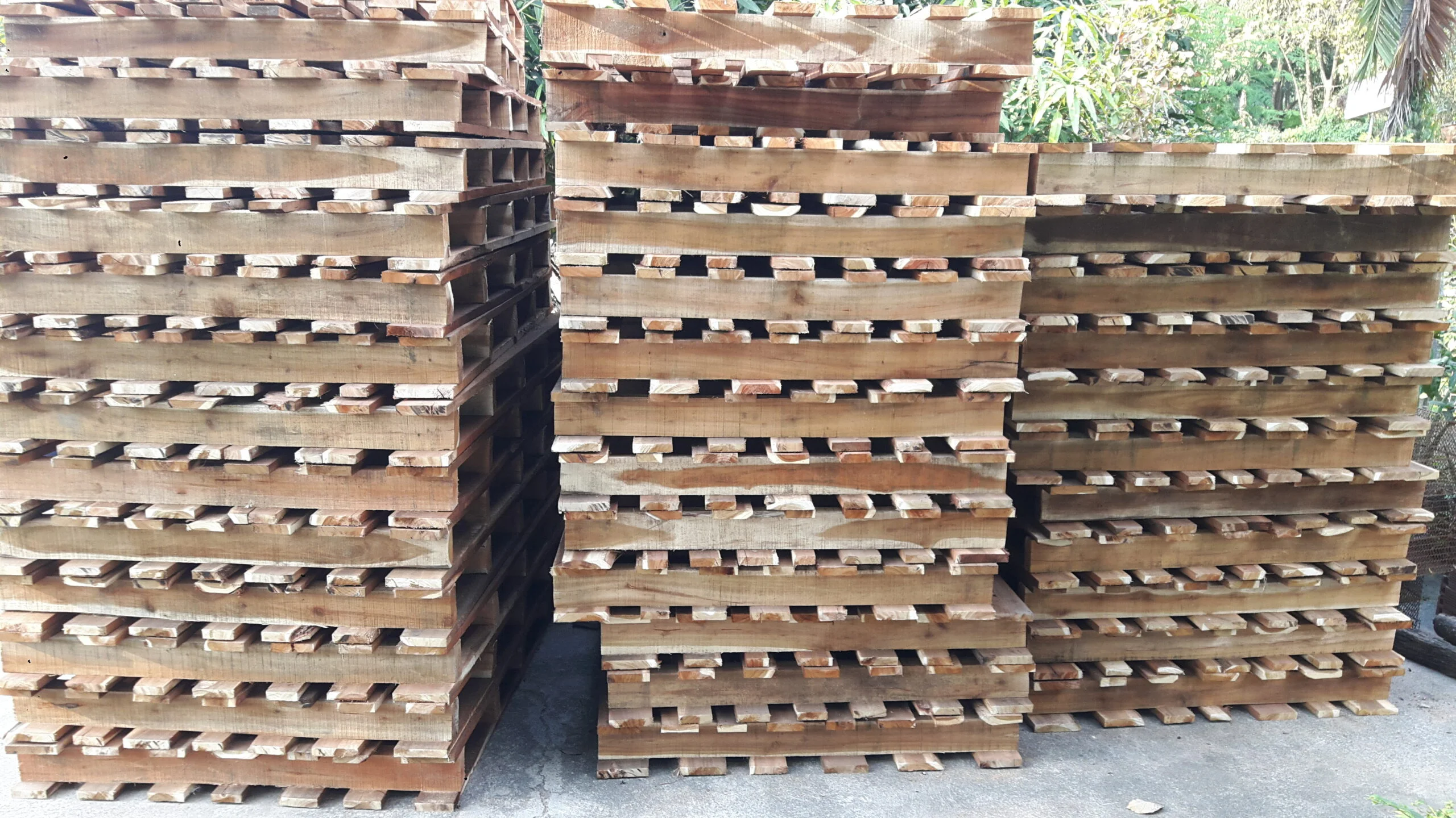 Pallet Gỗ Sao Mai Bình Dương – Công ty TNHH Pallet Sao Mai