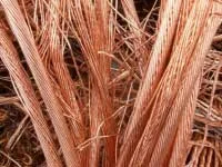 Phế Liệu Tài Thành Phát – Công Ty TNHH Một Thành Viên Tài Thành Phát