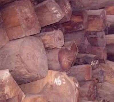 Công Ty TNHH Thịnh Phát BP