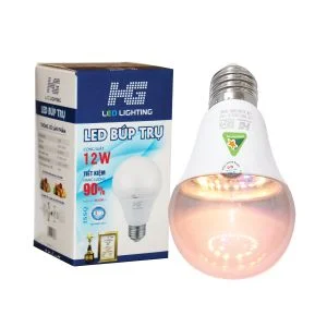 Công Ty TNHH Đầu Tư Thương Mại Sản Xuất Và Xuất Nhập Khẩu Việt Hàn