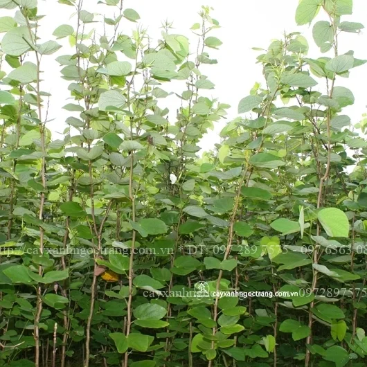 An Thai Pool – Công Ty CP Công Nghệ Thiết Bị Lọc Nước An Thái