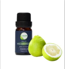 Công Ty TNHH Môi Trường Việt