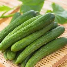 Nông Sản DAGRIFOOD – Công Ty TNHH HDAGRIFOOD