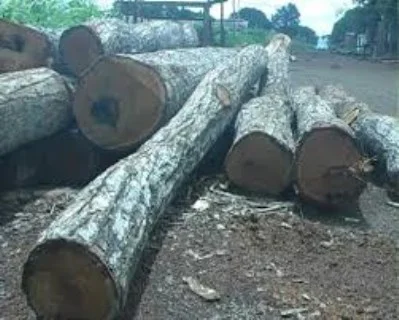 Vải Sợi Thiên Hà – Công Ty TNHH Thương Mại Và Vải Sợi Thiên Hà