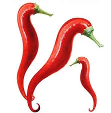 Nông Sản DAGRIFOOD – Công Ty TNHH HDAGRIFOOD