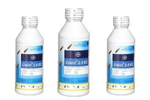Công Ty TNHH DTM Việt Nam
