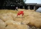 Công Ty TNHH Thương Mại Và Dịch Vụ Xuất Nhập Khẩu Vương Long