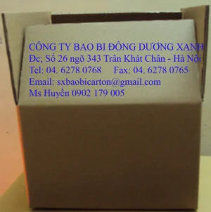 Bao Bì Đông Dương Xanh – Công Ty TNHH Đầu Tư Và Phát Triển Đông Dương Xanh