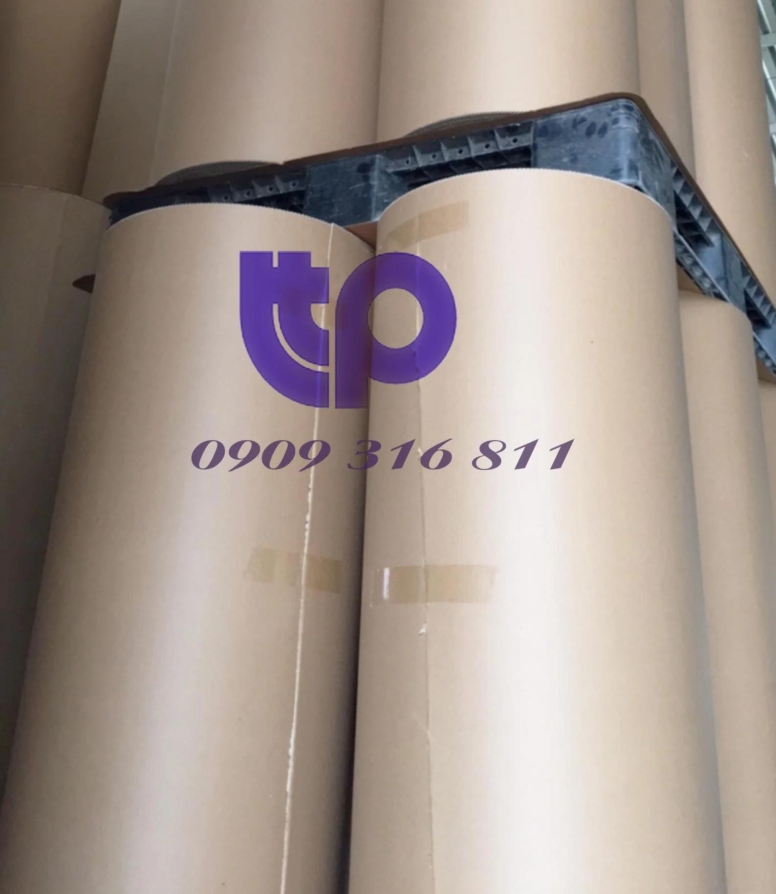 Sơn Newton – Công Ty CP Newton Quốc Tế