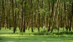 Công Ty TNHH DV Phát Triển Tiến Thành