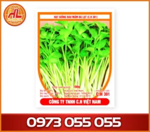 Công Ty TNHH Bao Bì Hoàng Long