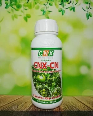 Cnx20cn20tiau20diot20mcm20bonh20trong20®et