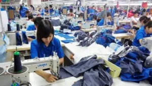 Công Ty TNHH Cung ứng Lao Động Bình Dương