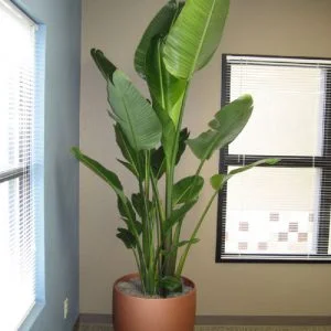 Công Ty Cổ Phần Green Homes Việt Nam