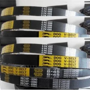 D©y20®ai20curoa20dog20v