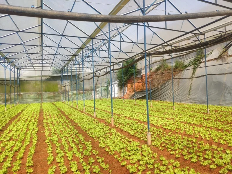 Thực Phẩm Sỉ Kamereo – Công Ty TNHH Kamereo