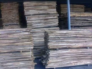 Cơ Sở Hoàng Minh Khôi