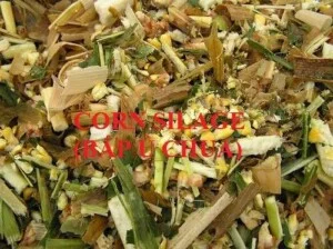 Thức Ăn Chăn Nuôi Tường Vân – Công Ty TNHH Thương Mại Và Dịch Vụ Tường Vân