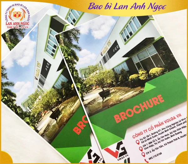 Công Ty TNHH In Bao Bì Lan Anh Ngọc