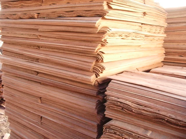 Công Ty TNHH Thịnh Thống