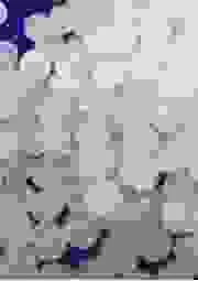 Hạt Nhựa Hừng Đông – Công Ty TNHH Nhựa Hừng Đông