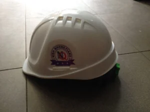 Công Ty TNHH Đức Linh Nhi