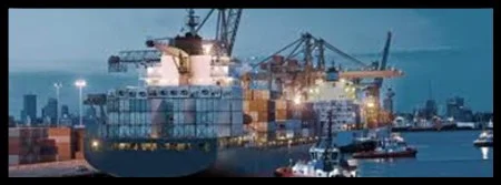 IPO Logistics – Công Ty TNHH Dịch Vụ IPO Logistics