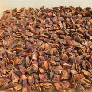 Nông Sản SUNRISE INS – Công Ty TNHH SUNRISE INS