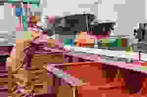 Công Ty Cổ Phần Sơn Jymec Việt Nam