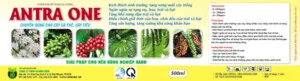 Antra One 500ml Cay Ca Phe Tieu 01