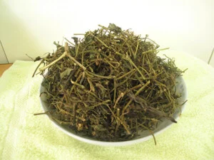 Chi Nhánh Tại Đắk Lắk – Công Ty Cổ Phần Nông Lâm Nghiệp Đức Phú