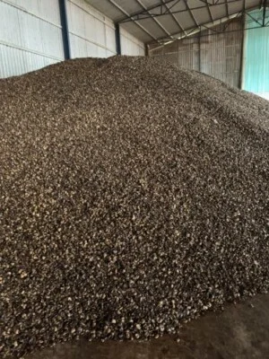 Công Ty Cổ Phần Nhật Bình An Phát