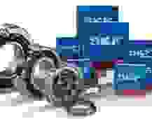 Bac20dan20skf