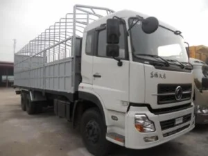 Vận Tải Tuấn Mạnh – Công Ty TNHH Vận Tải & Thương Mại Tuấn Mạnh