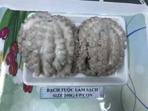 Bach20tuoc203