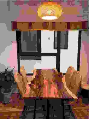 Đồ Nội Thất Ghế Xanh – Công Ty Ghế Xanh