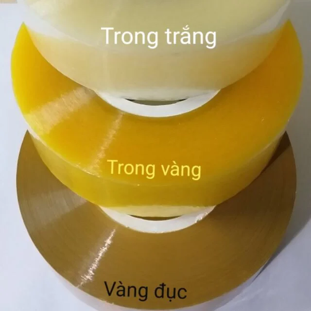 bang20dinh