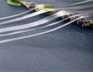 Phụ Liệu May Mặc TCC – Công Ty TNHH Phụ Liệu May Mặc TCC