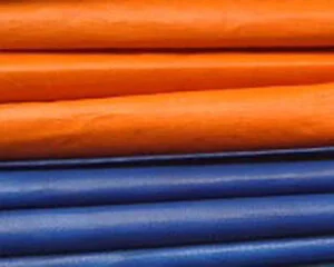 Công Ty TNHH Đạt Phát Nguyên