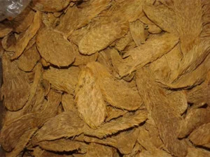 Thiết Bị Môi Trường Miền Bắc – Công Ty TNHH Thiết Bị Môi Trường Đô Thị Miền Bắc