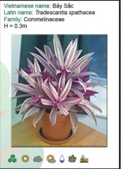 Chi Nhánh Công Ty TNHH Ngoại Thất Xanh