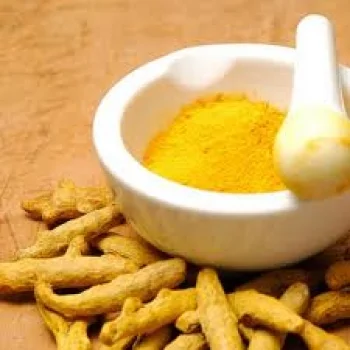 Chi Nhánh Công Ty Cổ Phần Sản Xuất Đông Dương